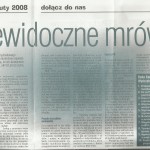Niewidoczne mrówki